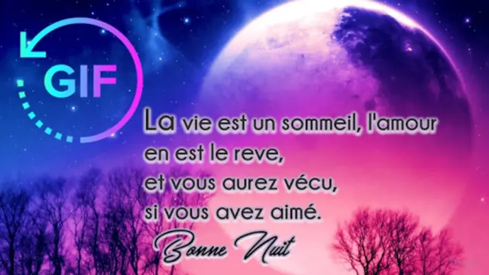 Good night Gif French Wishes android App screenshot 4